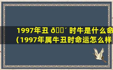 1997年丑 🐴 时牛是什么命（1997年属牛丑时命运怎么样）